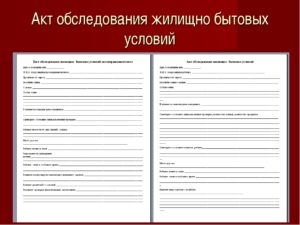 Акт на обследование жилищно бытовых условий учащегося образец заполненный