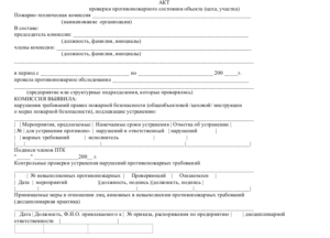 Акт проверки, образец, форма, бланк