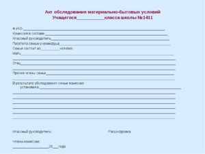 Акт проверки жилищных условий образец бланк