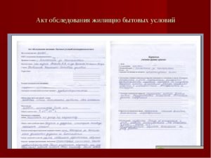 Акт проверки жилищных условий образец бланк
