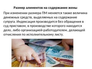 Алименты с декретных выплат