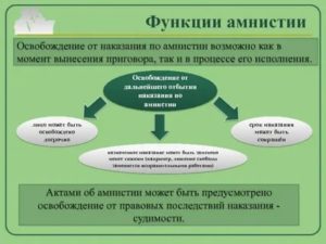 Амнистия и помилование как виды досрочного освобождения от наказания