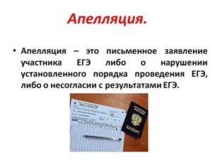 Апелляция Отклонена Что Делать