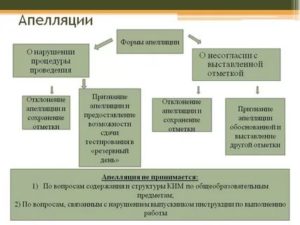 Апелляция Отклонена Что Делать