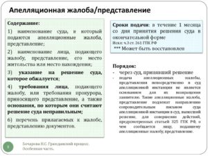 Апелляционная жалоба краткая образец бланк