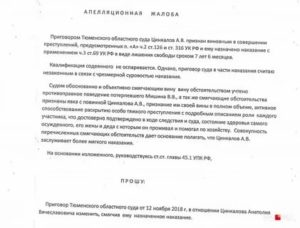 Апелляционная жалоба на приговор по уголовному делу на смягчение приговора