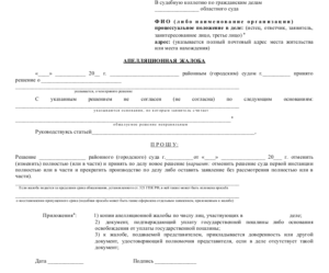 Апелляционная жалоба на решение мирового суда образец бланк