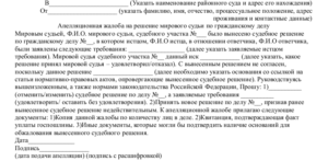 Апелляционная жалоба на решение мирового суда образец бланк
