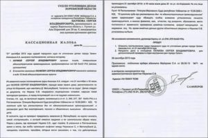 Апелляционная жалоба по уголовному делу в ростовский областной суд