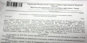 Арест На Участок Наложенный Приставами Как Оплатить В Щет Долга