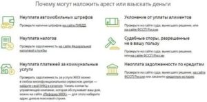 Арест На Участок Наложенный Приставами Как Оплатить В Щет Долга