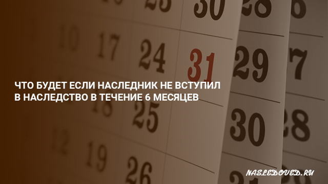 Что будет, если в течение 6 месяцев не вступить в наследство
