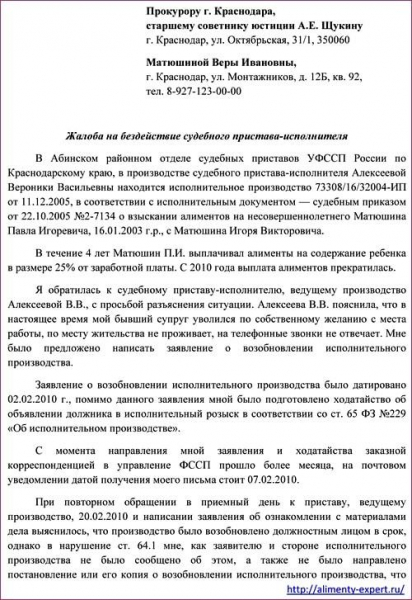 Что делать если бывший супруг не платит алименты, а приставы бездействуют