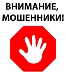 Что можно купить за бесценок на аукционах по банкротству: реальные примеры