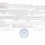Что такое кадастровый паспорт на квартиру и зачем он требуется