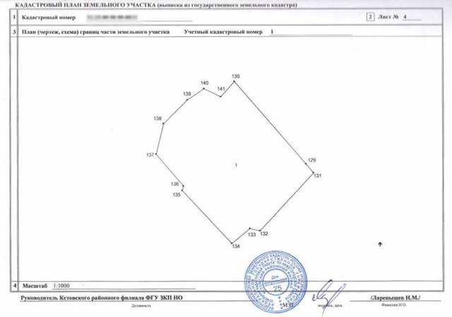 Что такое кадастровый план и как получить такой документ