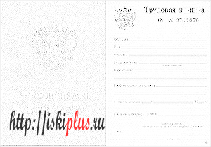 Что такое трудовая книжка, где она применяется и как заполняется