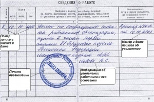 Что такое трудовая книжка, где она применяется и как заполняется