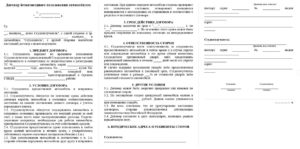 Договор безвозмездного пользования автомобилем образец бланк