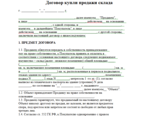 Договор купли-продажи готового бизнеса образец бланк