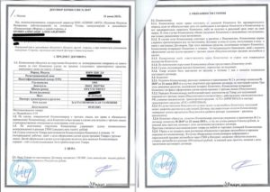 Договор купли-продажи комиссионного автомобиля образец бланк