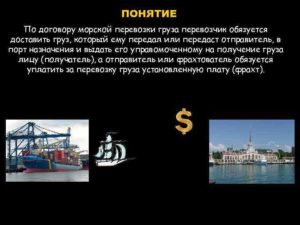 Договор морской перевозки пассажира образец бланк