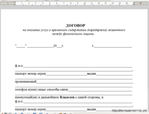 Договор на оказание гостиничных услуг образец бланк