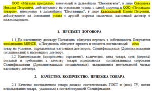 Договор поставки товара под реализацию образец бланк