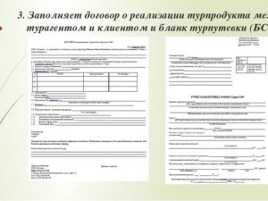 Договор с туроператором образец бланк