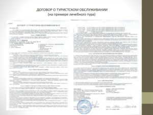 Договор с туроператором образец бланк
