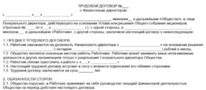 Договор, трудовой, с директором по общим вопросам
