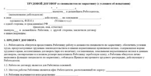 Договор, трудовой, с главным энергетиком