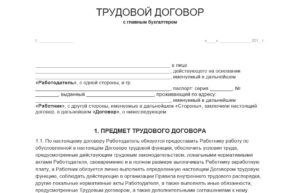 Договор, трудовой, с главным энергетиком