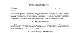 Договор, трудовой, с курьером