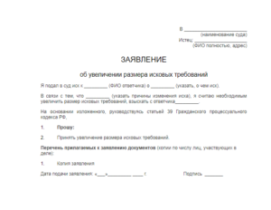 Дополнение к исковому заявлению, образец, бланк