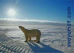 Дополнительный оплачиваемый отпуск: кому положен и правила его предоставления