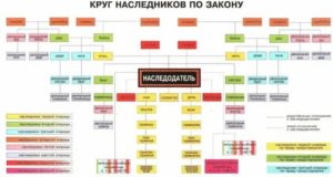 Двоюродные Братья и Сестры Наследники Какой Очереди