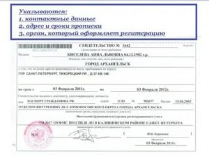 Если Ребенок Нигде не Прописан Какой Штраф
