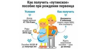 Если Родители не Работают Как Оформить Детские