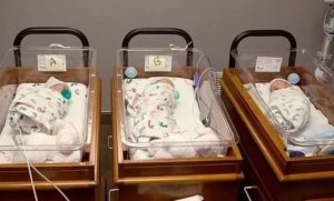 Если Рождается Тройня Что Полагается Родителям