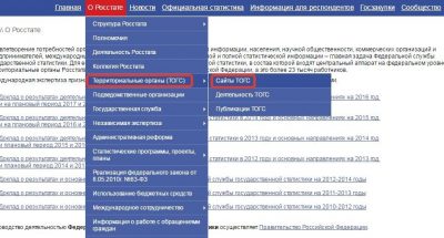 Где посмотреть коды статистики организации?