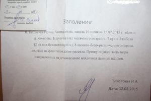 Где правильно ставить подпись в заявлении