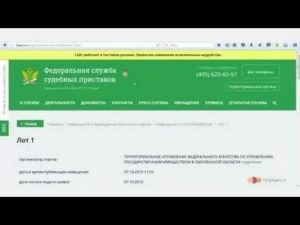 Где Проходят Аукционы Судебных Приставов