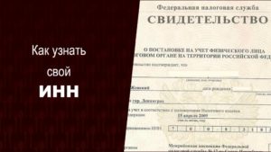Где узнать есть ли инн у ребенка