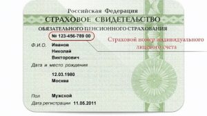 Где узнать есть ли у ребенка снилс