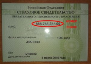 Где узнать есть ли у ребенка снилс