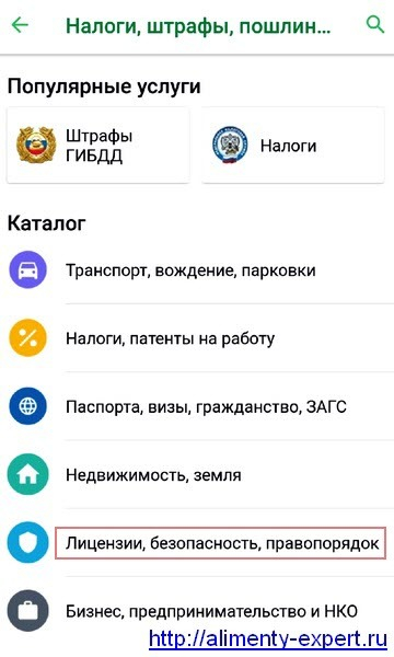 Госпошлина на алименты в 2019 году: размер и порядок оплаты