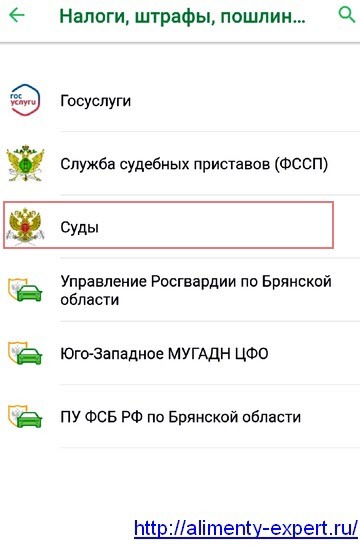 Госпошлина на алименты в 2019 году: размер и порядок оплаты