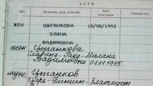 Графа Дети в Паспорте рф Кто Заполняет