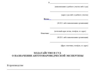 Ходатайство о назначении автотехнической экспертизы по ДТП образец бланк